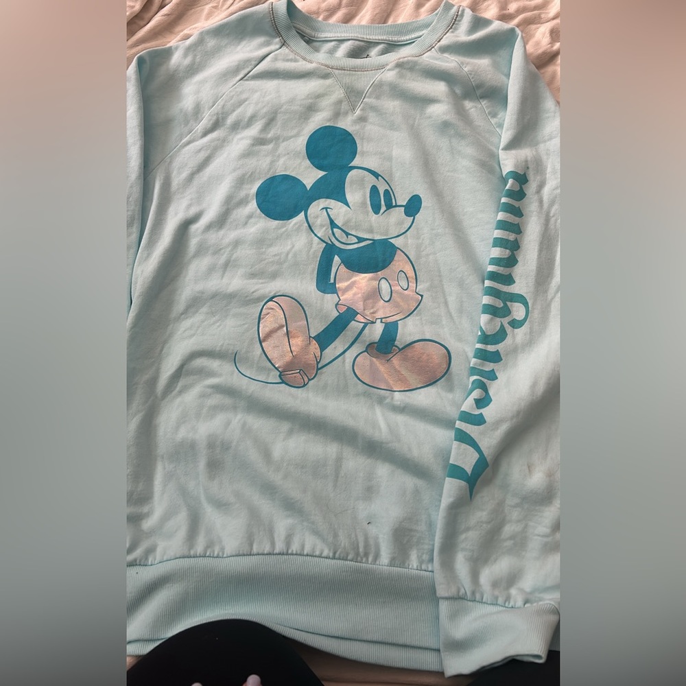 Disneyland sweatshirt size large.      Bought at Disneyland